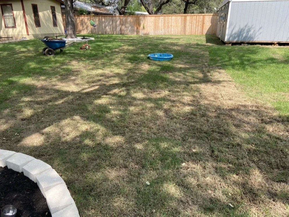 Reliable yard maintenance in San Antonio, TX by The Grass Company