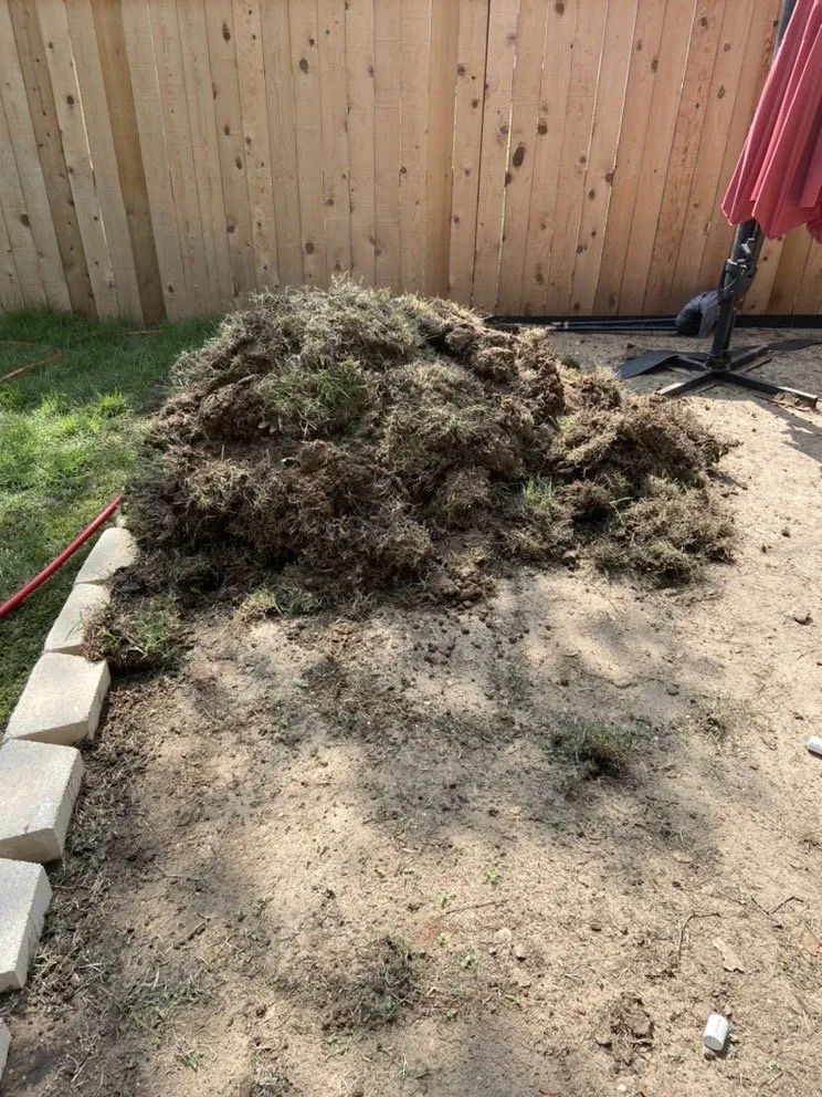 Reliable lawn mowing service in San Antonio, TX by The Grass Company