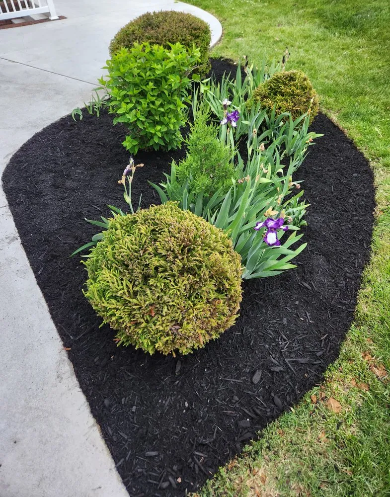 Affordable lawn mowing service near you in Kingsport, TN by The Grass Cop