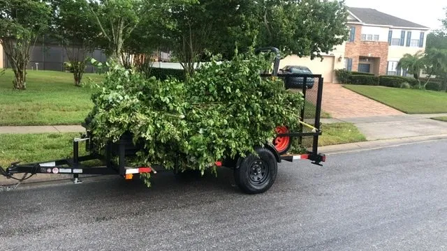 Trusted yard maintenance in Orlando, FL - The Grass Cutter