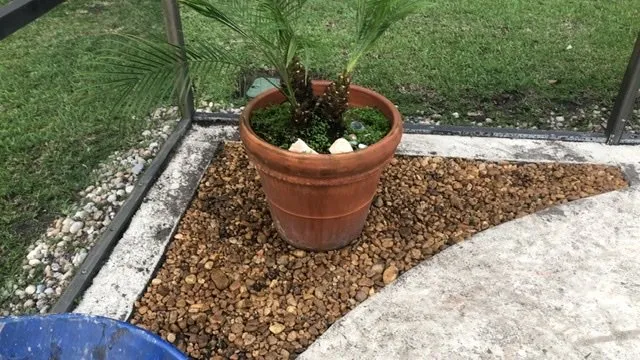 Reliable yard maintenance near you across Orlando, FL - The Grass Cutter