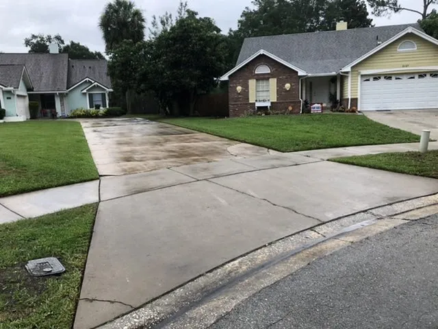 Expert yard cleanup service experts serving Orlando, FL - The Grass Cutter