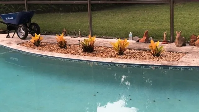 Top-rated yard cleanup service in Orlando, FL by The Grass Cutter