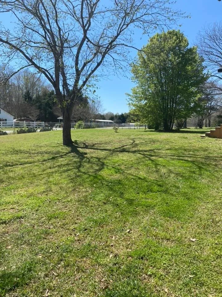 Reliable outdoor landscaping for year-round maintenance in York, SC by The Grass Doctor