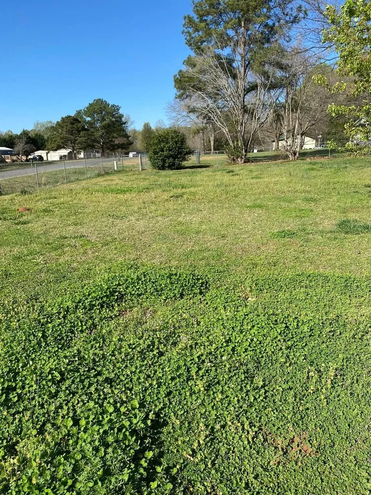 Reliable landscape installation for year-round maintenance across York, SC - The Grass Doctor