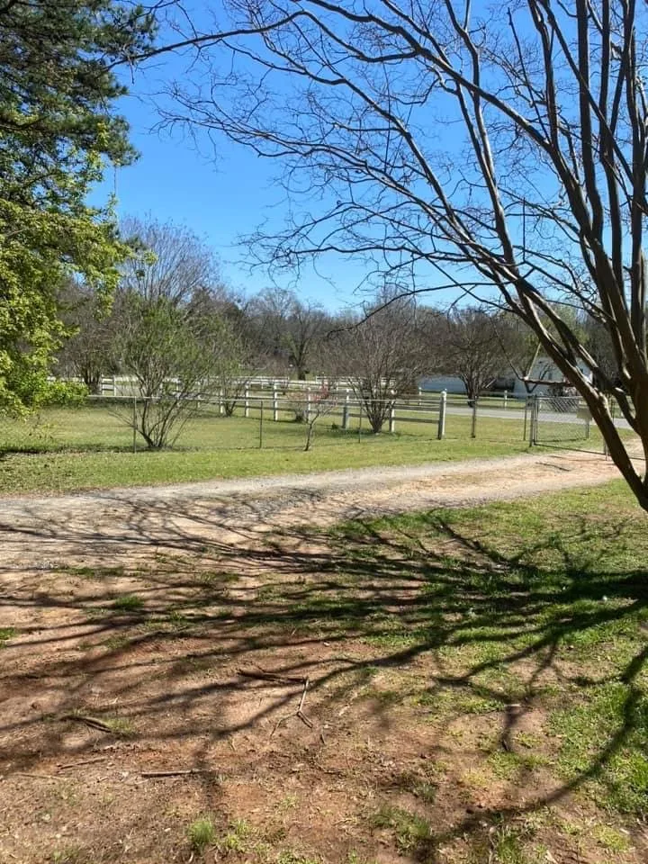 Trusted yard cleanup service in York, SC - The Grass Doctor