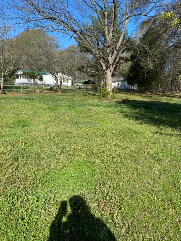 Expert yard maintenance for residential properties across York, SC - The Grass Doctor