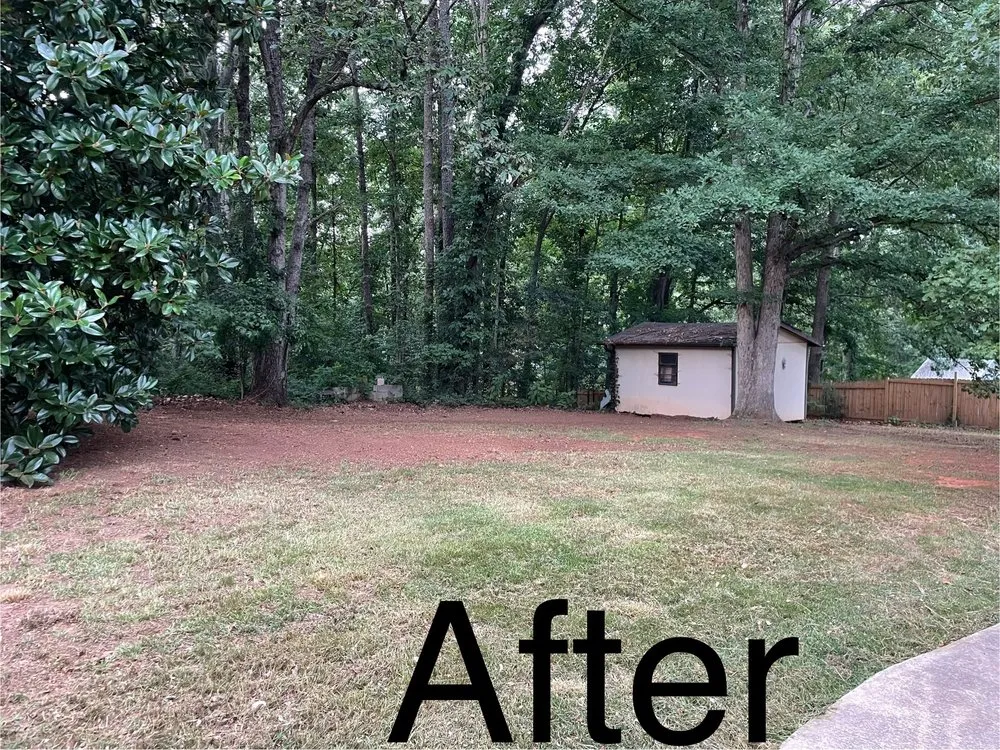 Expert garden landscaping with custom design across Carrollton, GA - The Grass Father Lawn Maintenance