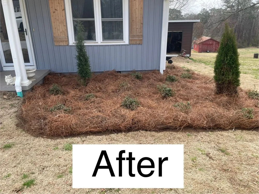 Local yard cleanup service experts serving Carrollton, GA - The Grass Father Lawn Maintenance