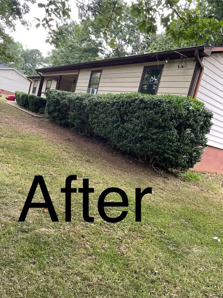 Top-rated yard maintenance experts serving Carrollton, GA - The Grass Father Lawn Maintenance