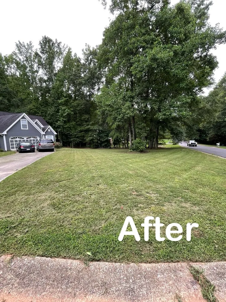 Affordable lawn mowing service experts serving Carrollton, GA - The Grass Father Lawn Maintenance