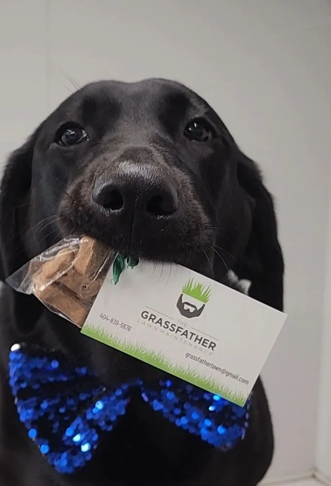 Professional landscaping services for year-round maintenance in Carrollton, GA by The Grass Father Lawn Maintenance