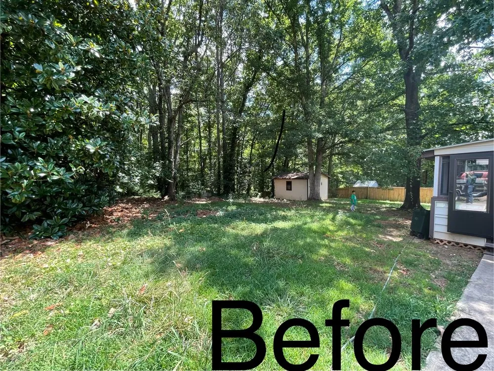 Affordable landscape design in Carrollton, GA by The Grass Father Lawn Maintenance