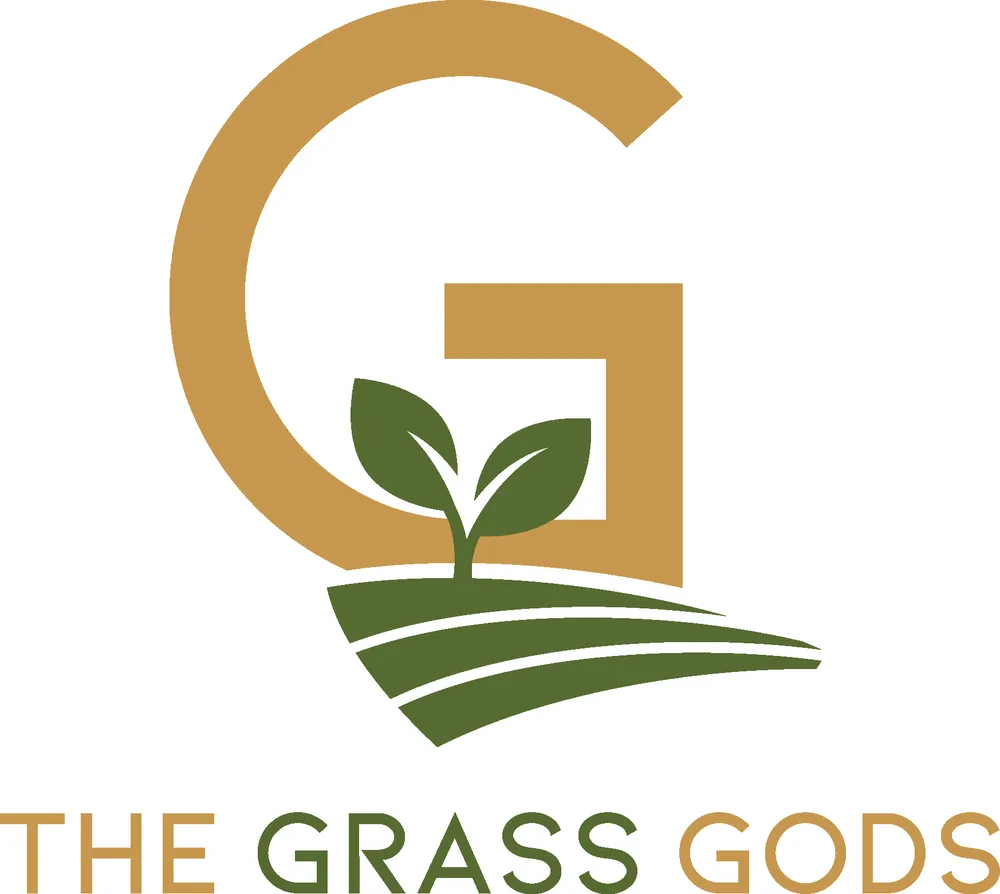 Expert yard cleanup service in Atlanta, GA - The Grass Gods