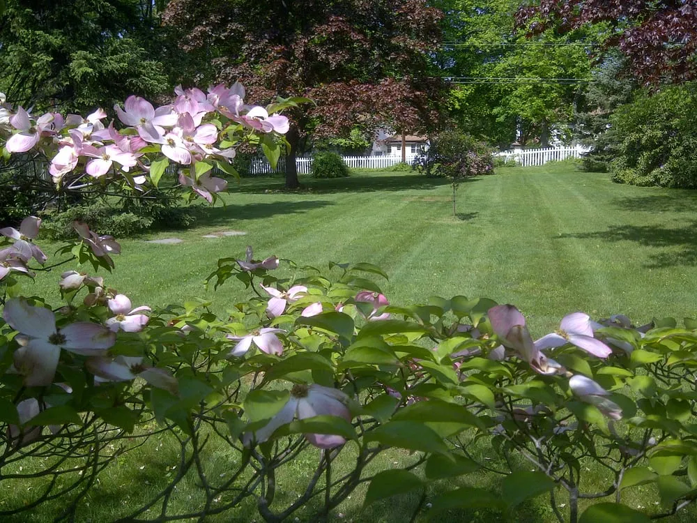 Affordable yard cleanup service for year-round maintenance across Bensalem, PA - The Grass Groomers