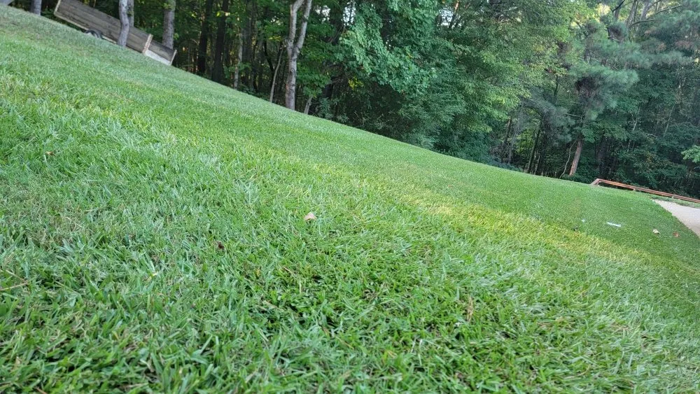 Top-rated yard cleanup service for outdoor upgrades in Douglasville, GA by The Grass Guy