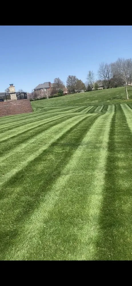 Affordable lawn mowing service in Grandview, IL - The Grass Guy