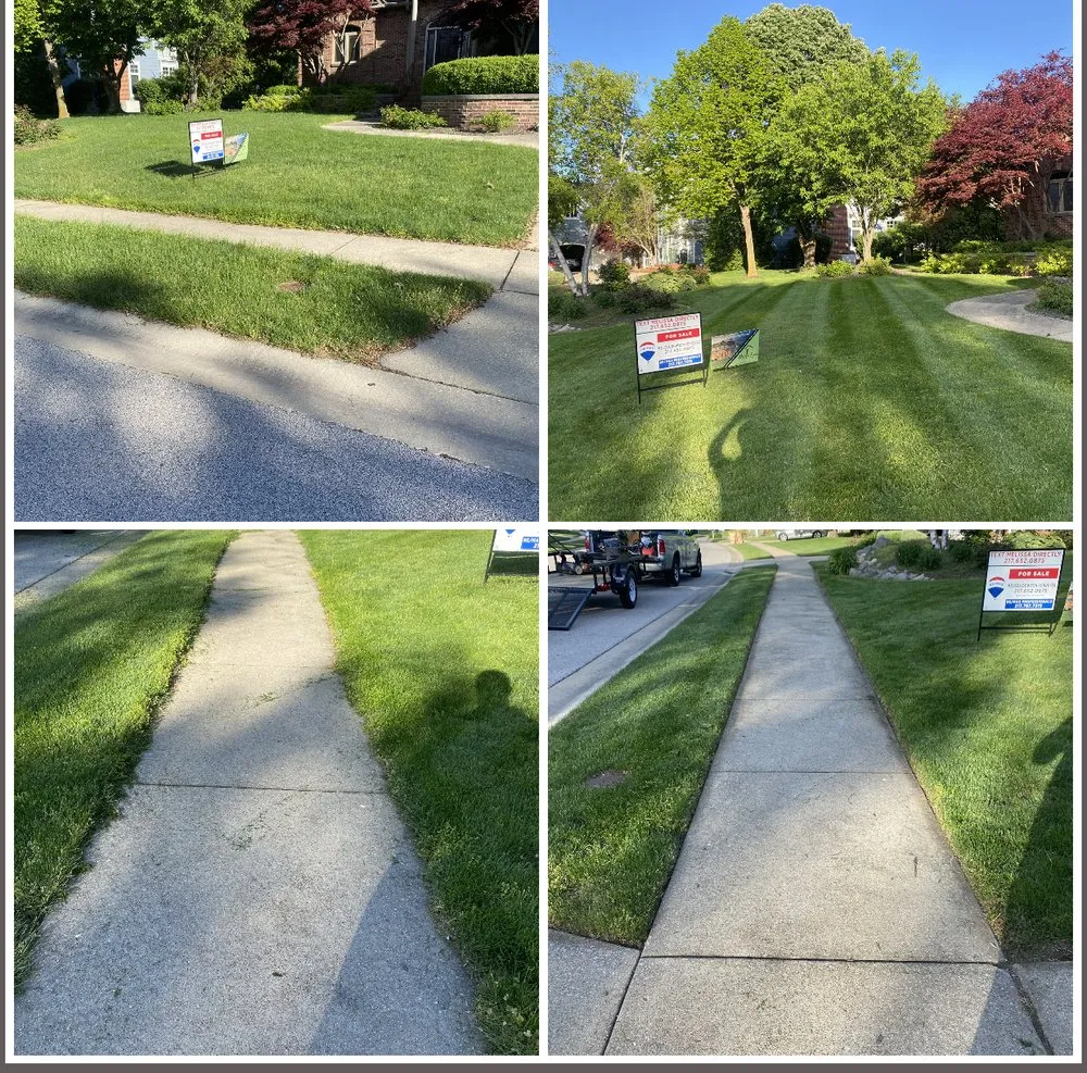 Expert lawn care service experts serving Grandview, IL - The Grass Guy