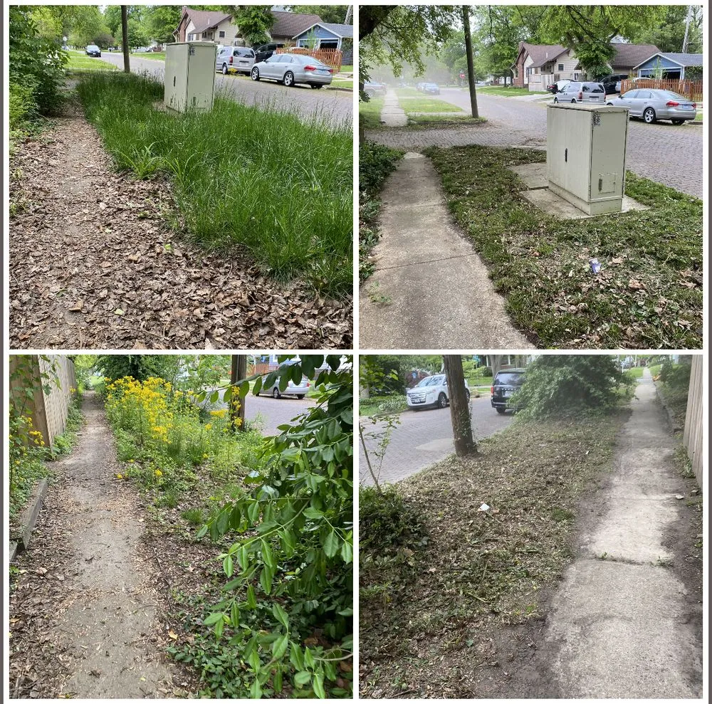 Expert yard maintenance for year-round maintenance in Grandview, IL by The Grass Guy