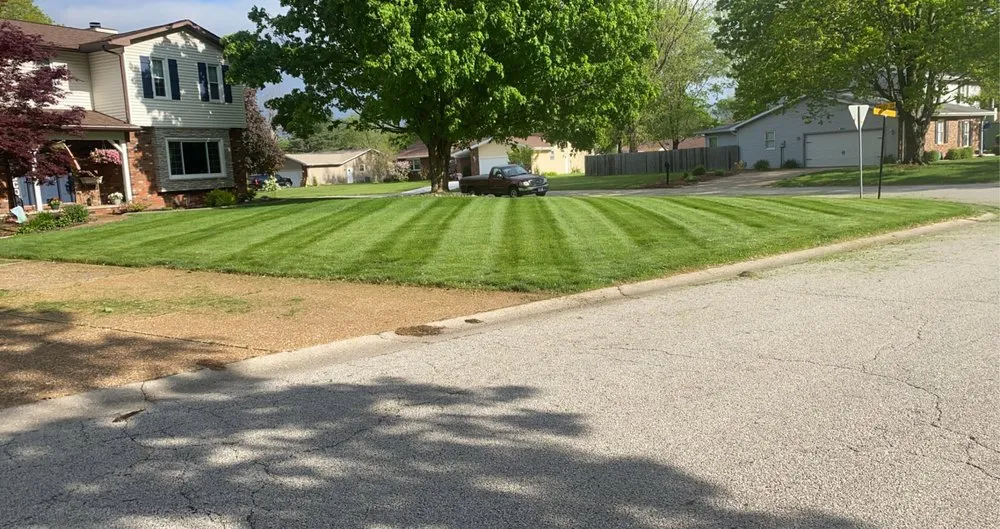 Custom yard cleanup service near you in Grandview, IL by The Grass Guy