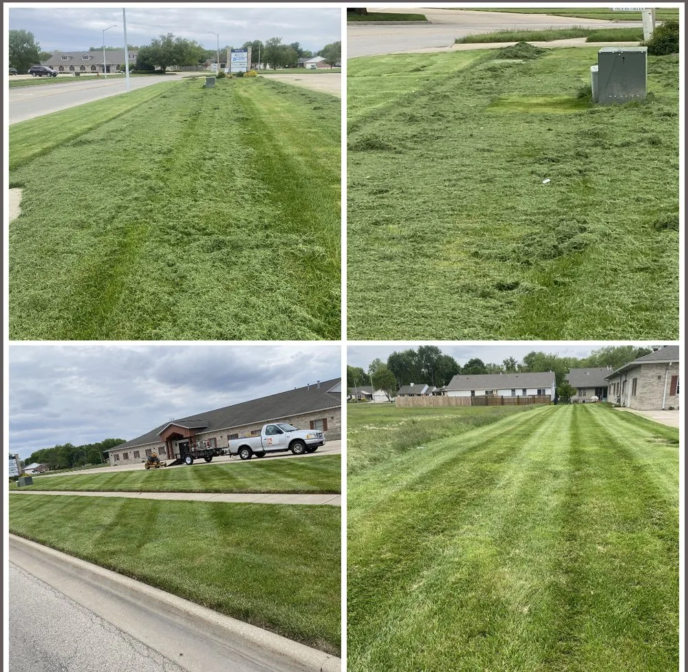 Reliable landscaping services experts serving Grandview, IL - The Grass Guy