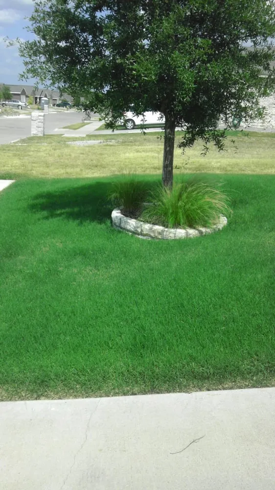 Expert lawn care service experts serving Fort Worth, TX - The Grass Guy Lawn Services