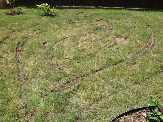 The Grass Guy Lawn Services Logo