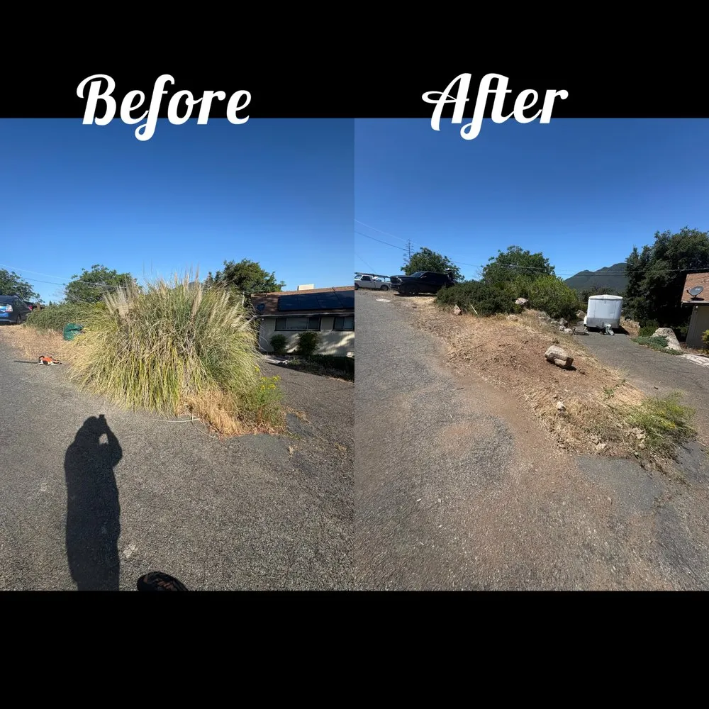 Local landscaping services experts serving Lucerne, CA - The Grass Guy