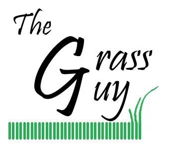 Local yard cleanup service for beautiful yards across Monclova, OH - The Grass Guy