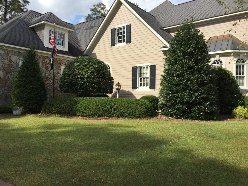 Top-rated yard cleanup service in Greensboro, NC by The Grass Guys