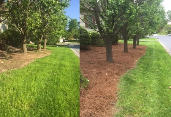 Local lawn mowing service in Greensboro, NC by The Grass Guys
