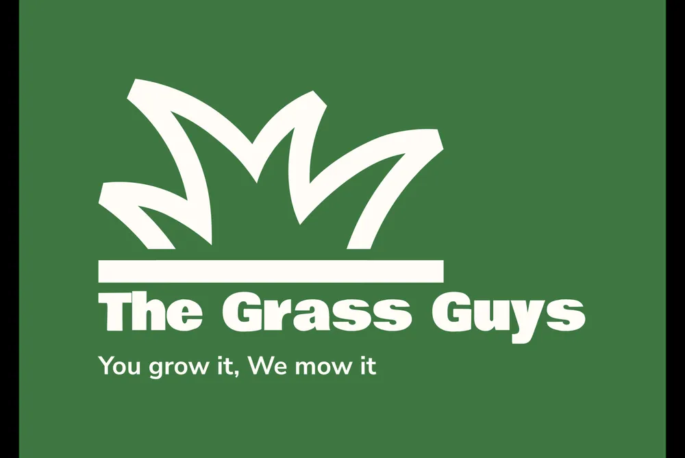 Reliable yard cleanup service experts serving New Richmond, WI - The Grass Guys