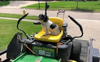 Expert landscaping services for beautiful yards in Akron, OH by The Grass Guys of Summit County