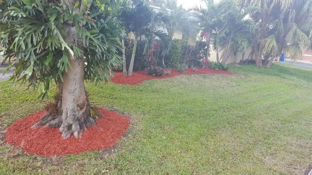 Expert yard maintenance experts serving Sunrise, FL - The Grass Guys