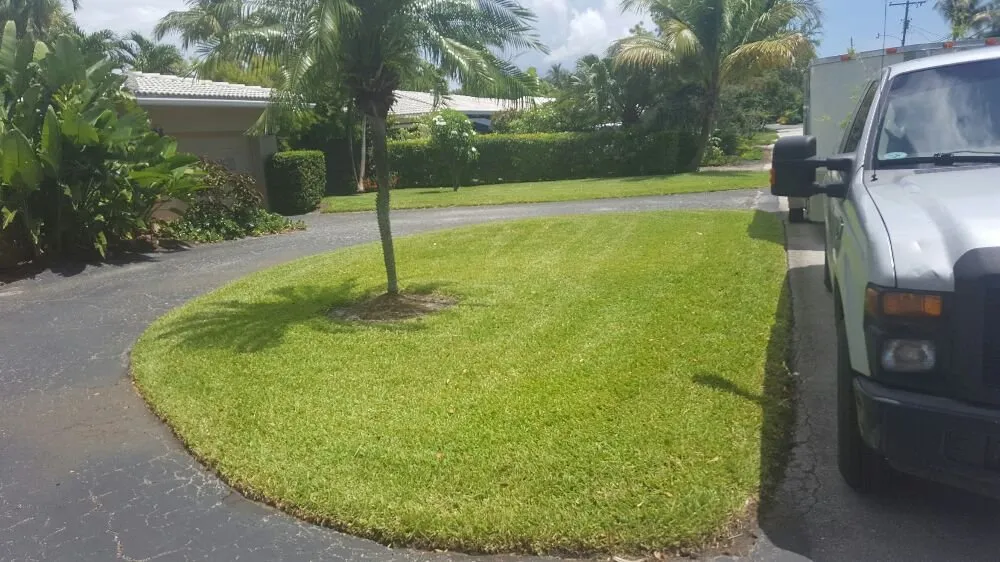 Top-rated garden landscaping in Sunrise, FL - The Grass Guys