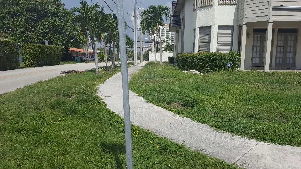 Top-rated garden landscaping experts serving Sunrise, FL - The Grass Guys