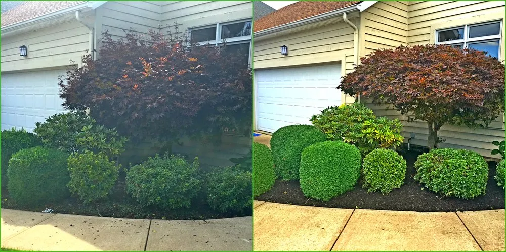Local yard cleanup service experts serving Twinsburg, OH - The Grass Guys