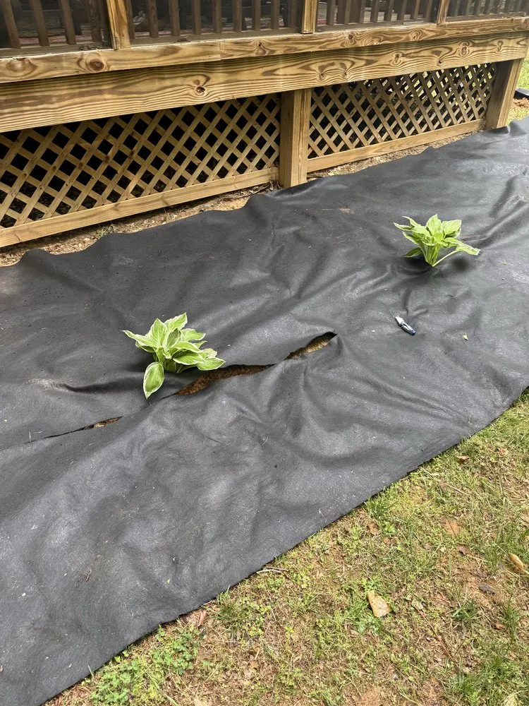 Professional landscape design experts serving Mebane, NC - The Grass Is Greener Landscaping