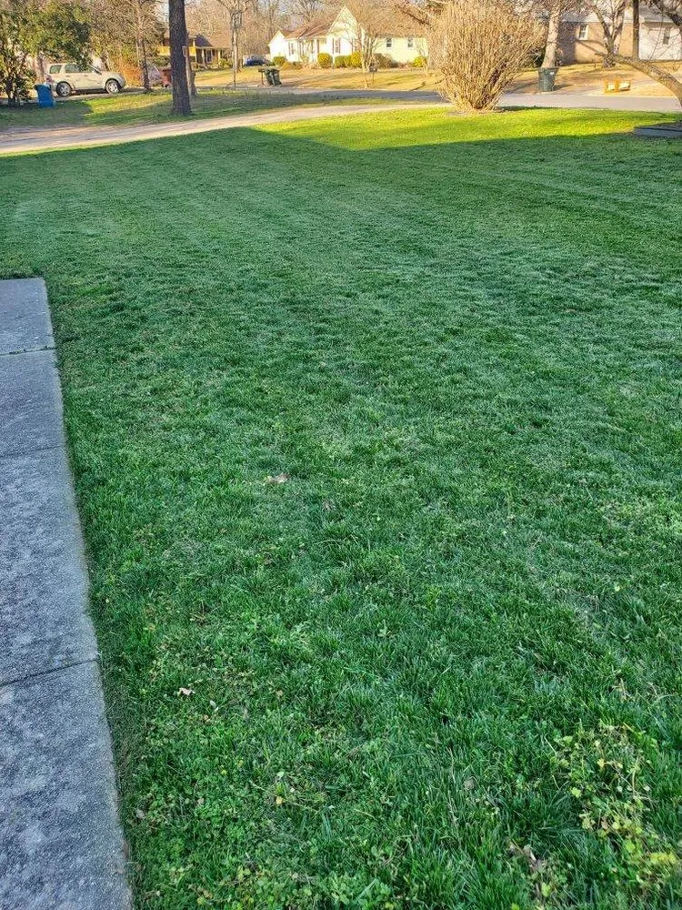 Affordable landscape installation in Mebane, NC by The Grass Is Greener Landscaping