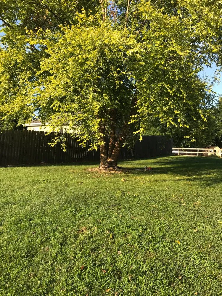 Top-rated residential landscaping for residential properties in Mebane, NC by The Grass Is Greener Landscaping