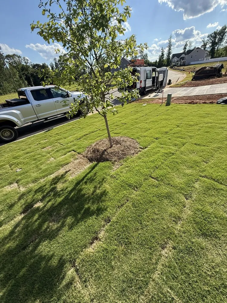 Affordable landscape design with custom design in Mebane, NC by The Grass Is Greener Landscaping