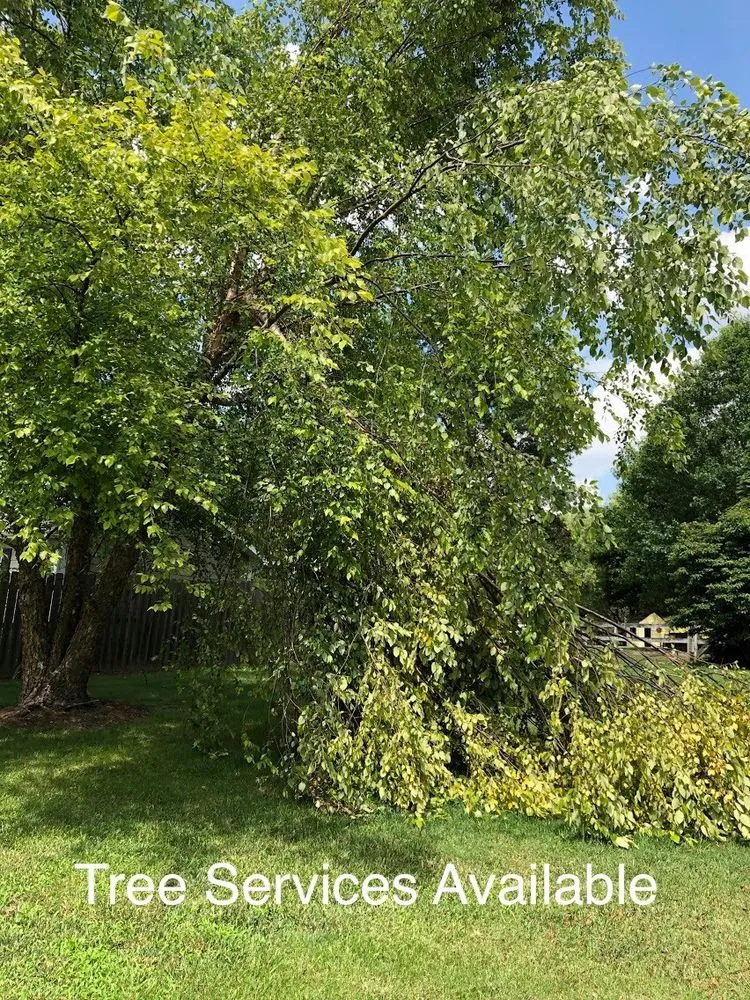 Reliable landscape installation in Mebane, NC by The Grass Is Greener Landscaping