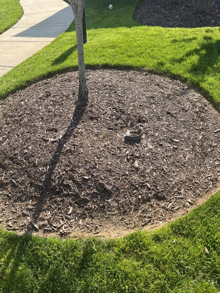 Custom landscape design in Mebane, NC by The Grass Is Greener Landscaping