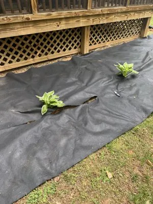 The Grass Is Greener Landscaping