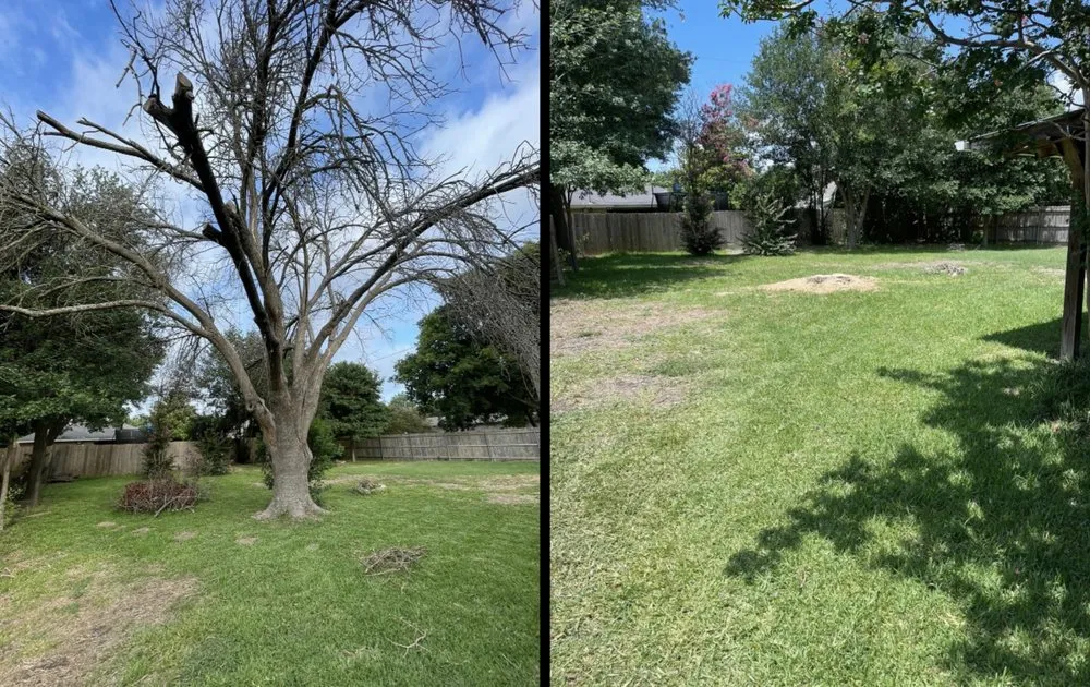 Professional landscaping services in Hewitt, TX - The Grass King