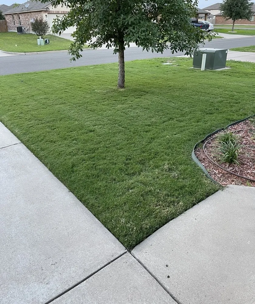 Professional residential landscaping for beautiful yards in Hewitt, TX by The Grass King