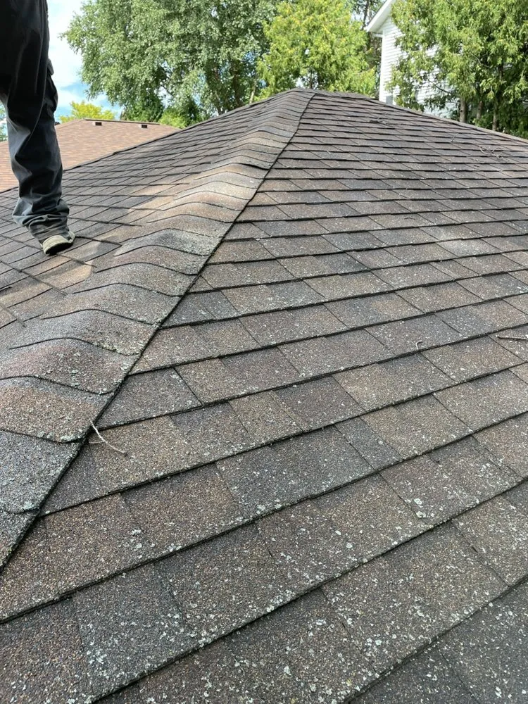 Expert yard cleanup service in Michigan City, IN by The Grass Krew