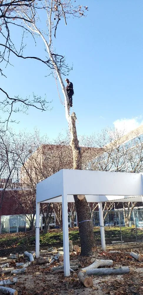 Local outdoor landscaping for residential properties in Richmond, VA by The Grass Man