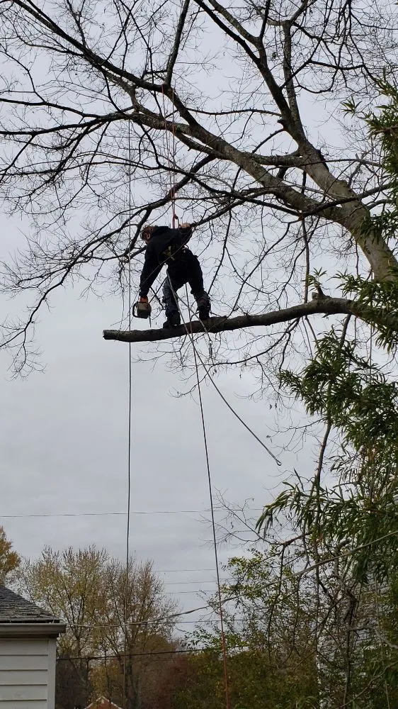 Trusted landscape installation for outdoor upgrades across Richmond, VA - The Grass Man