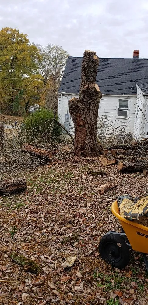 Professional landscape design experts serving Richmond, VA - The Grass Man